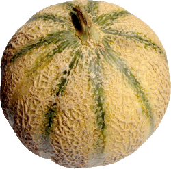 You are currently viewing Flanby a le melon !